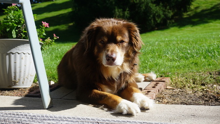 Entry image for Ayden. Clicking this image will show a larger photo
