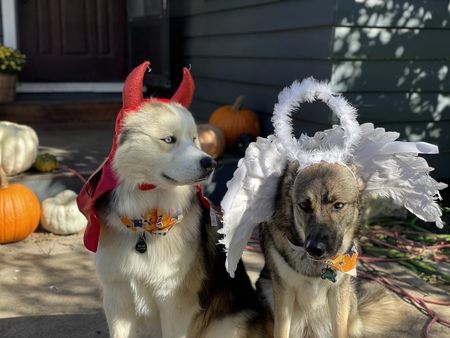Bear & Charie