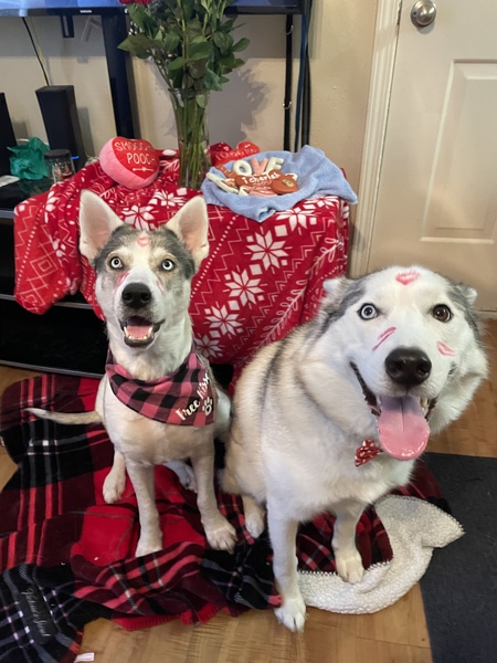 Elliott and Aurora 