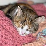 Entry image for Sicily from HSIMC ❤️