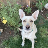 Entry image for Maggie