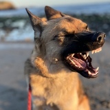 Entry image for Poliahu