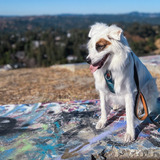 Entry image for Moro