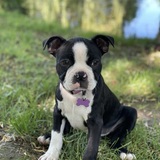 Entry image for Bayou