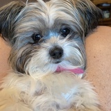 Entry image for Zoey 