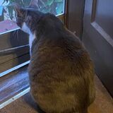 Entry image for Zoey Louise