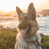 Entry image for Kauai