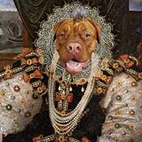 Entry image for Your Highness Pinky