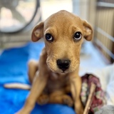 Entry image for Lunch Box 