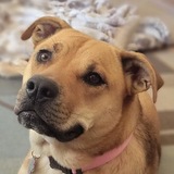 Entry image for Bella Bella 