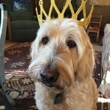 Entry image for Chipper