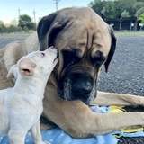 Entry image for La Roux