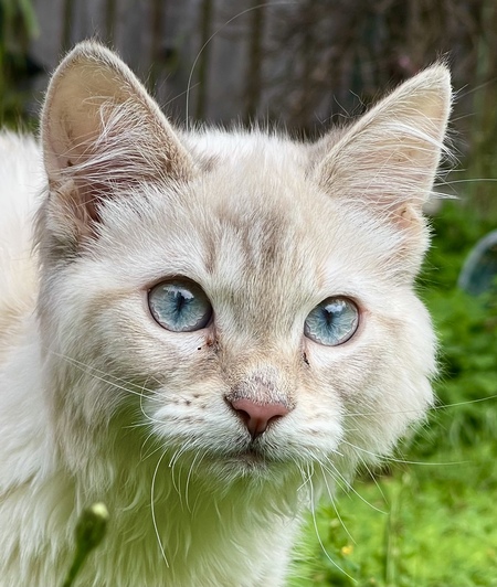 Entry image for Tipsy . Clicking this image will show a larger photo