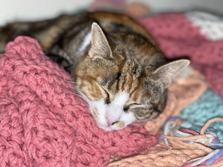 Entry image for Sicily from HSIMC ❤️. Clicking this image will show a larger photo