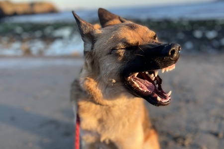 Entry image for Poliahu. Clicking this image will show a larger photo