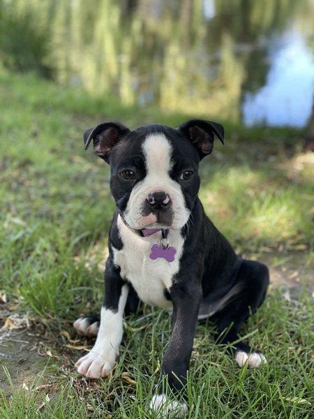 Entry image for Bayou. Clicking this image will show a larger photo