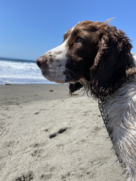 Entry image for Ida. Clicking this image will show a larger photo