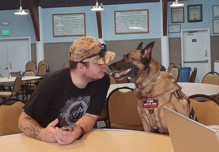 Entry image for Ava. Clicking this image will show a larger photo