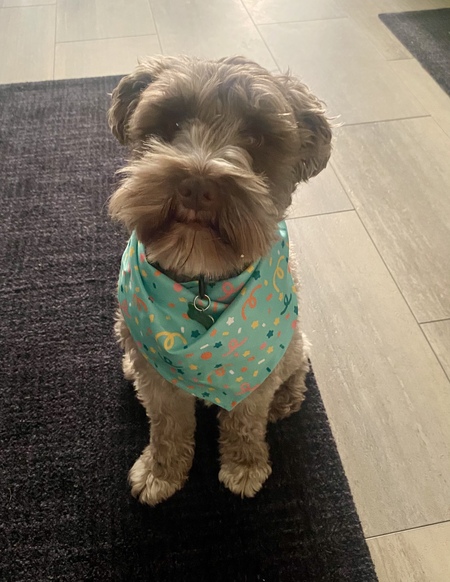 Entry image for Sully . Clicking this image will show a larger photo