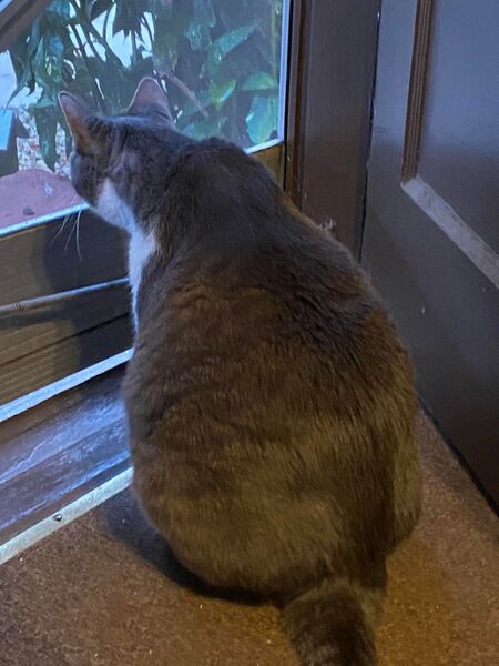 Entry image for Zoey Louise. Clicking this image will show a larger photo