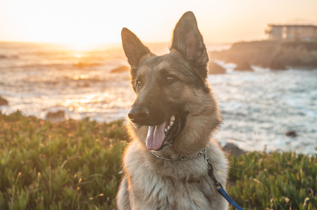 Entry image for Kauai. Clicking this image will show a larger photo