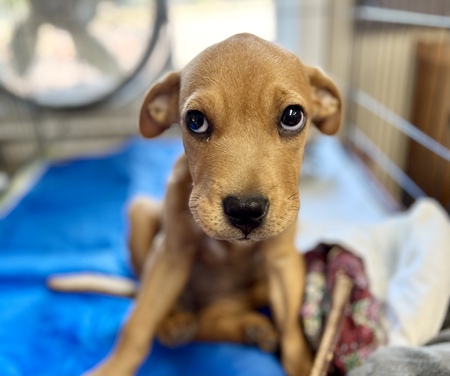 Entry image for Lunch Box . Clicking this image will show a larger photo