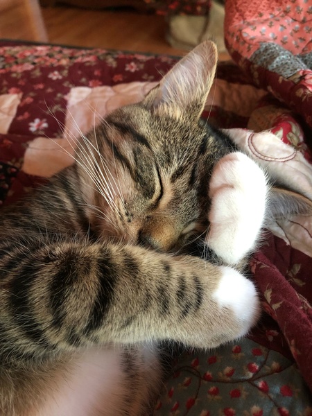 Spunky