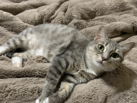 Jade