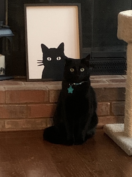 Biskit