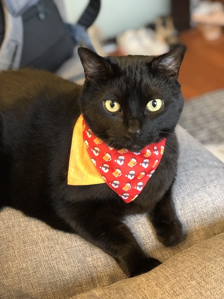 Jiji