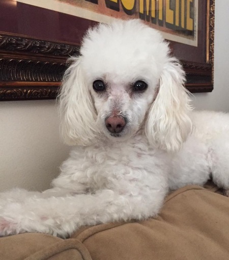 Bella