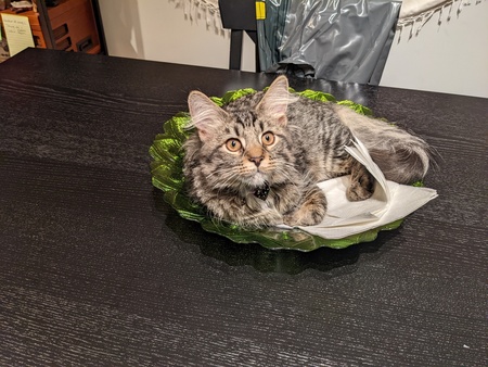 Charlie Waffles 