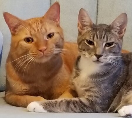Pio and Andy