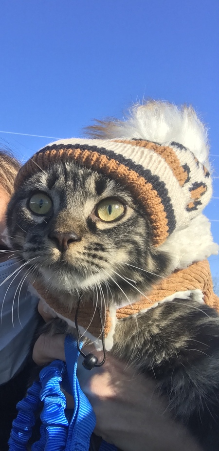 Leo