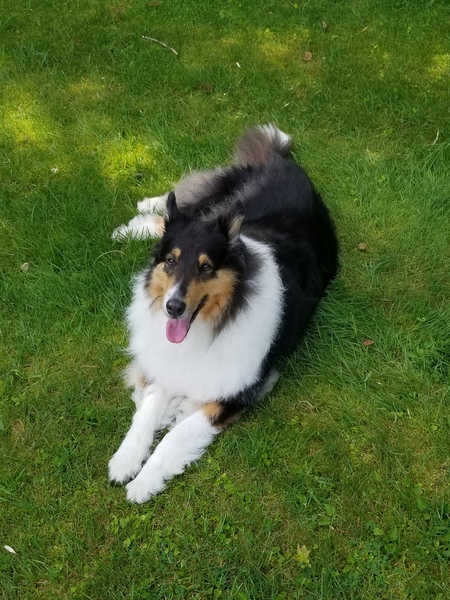 Bella