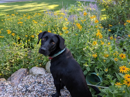 Charlie 