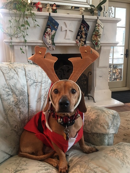 Oscar