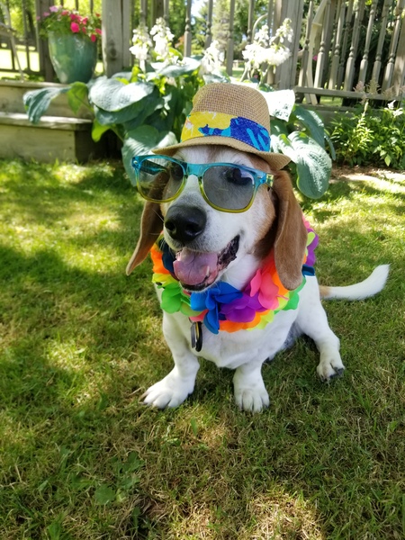 Reggie