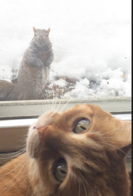 Pepper