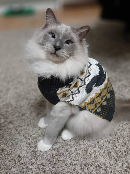 Winston