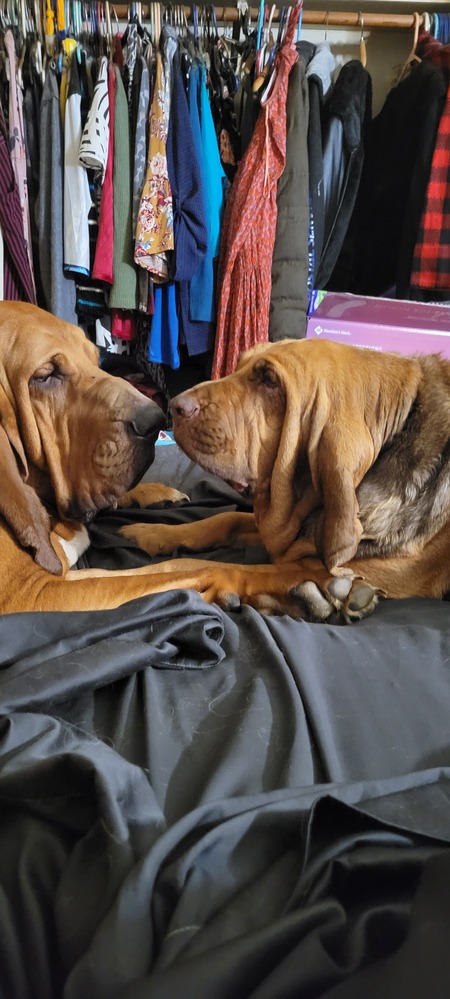 Odin and Ellie Mae 