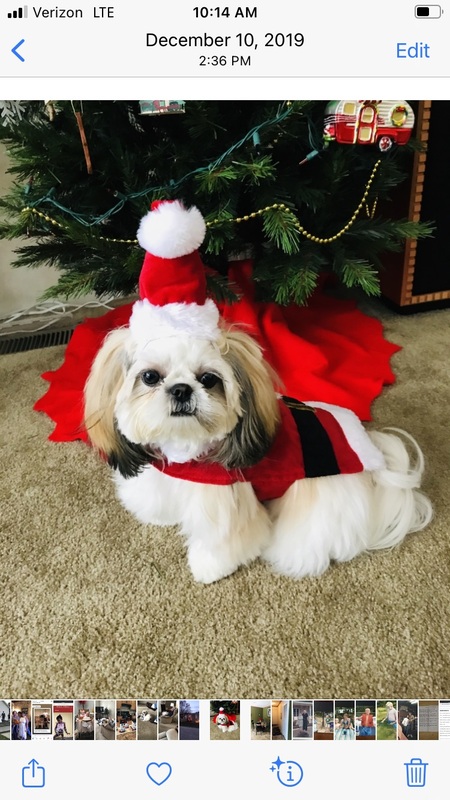 Bella