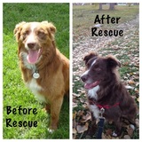 Entry image for Jake