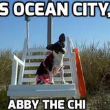 Entry image for Abby