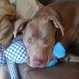 Entry image for Athena