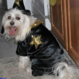 Entry image for Snowflake