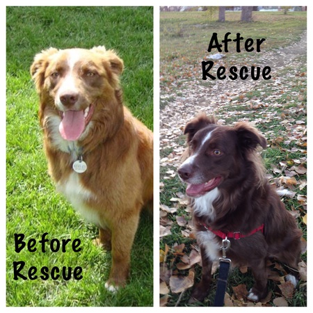 Entry image for Jake. Clicking this image will show a larger photo