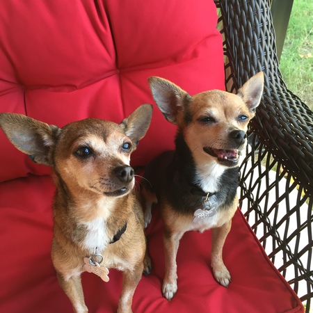 Entry image for Samantha & Libby. Clicking this image will show a larger photo