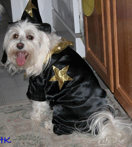 Entry image for Snowflake. Clicking this image will show a larger photo