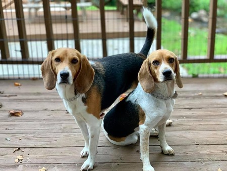 Lily and Baxter